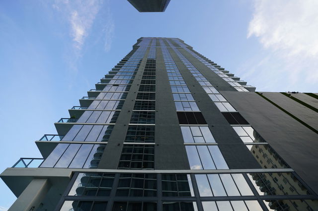 Elysee Miami  photo 3